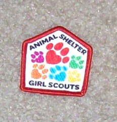 Girl Scout Badge / Patch You Pick: Digital Photographer, Jeweler, Camper Tea etc
