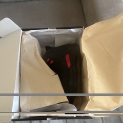 Jordan Air Jordan 12 Retro Playoff Black/Varsity Red/White CT8013-006 2022
