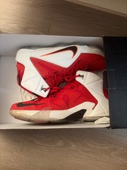 Size 11 – Nike LeBron 12 Heart Of A Lion
