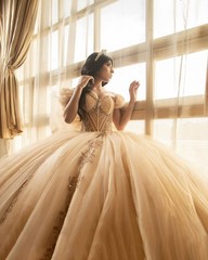 Princess Lace Applique Quinceanera Dress with Bow Layered Party Dress With Train