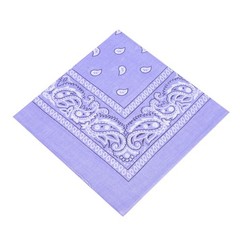 2 X Paisley Print Bandana 100% Cotton Head Warp Scarf Face Mask – USA Seller