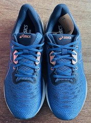 Men’s Size 12 ASICS Ezeride Grand Shark Pure Bronze 1011B788-400 NIB
