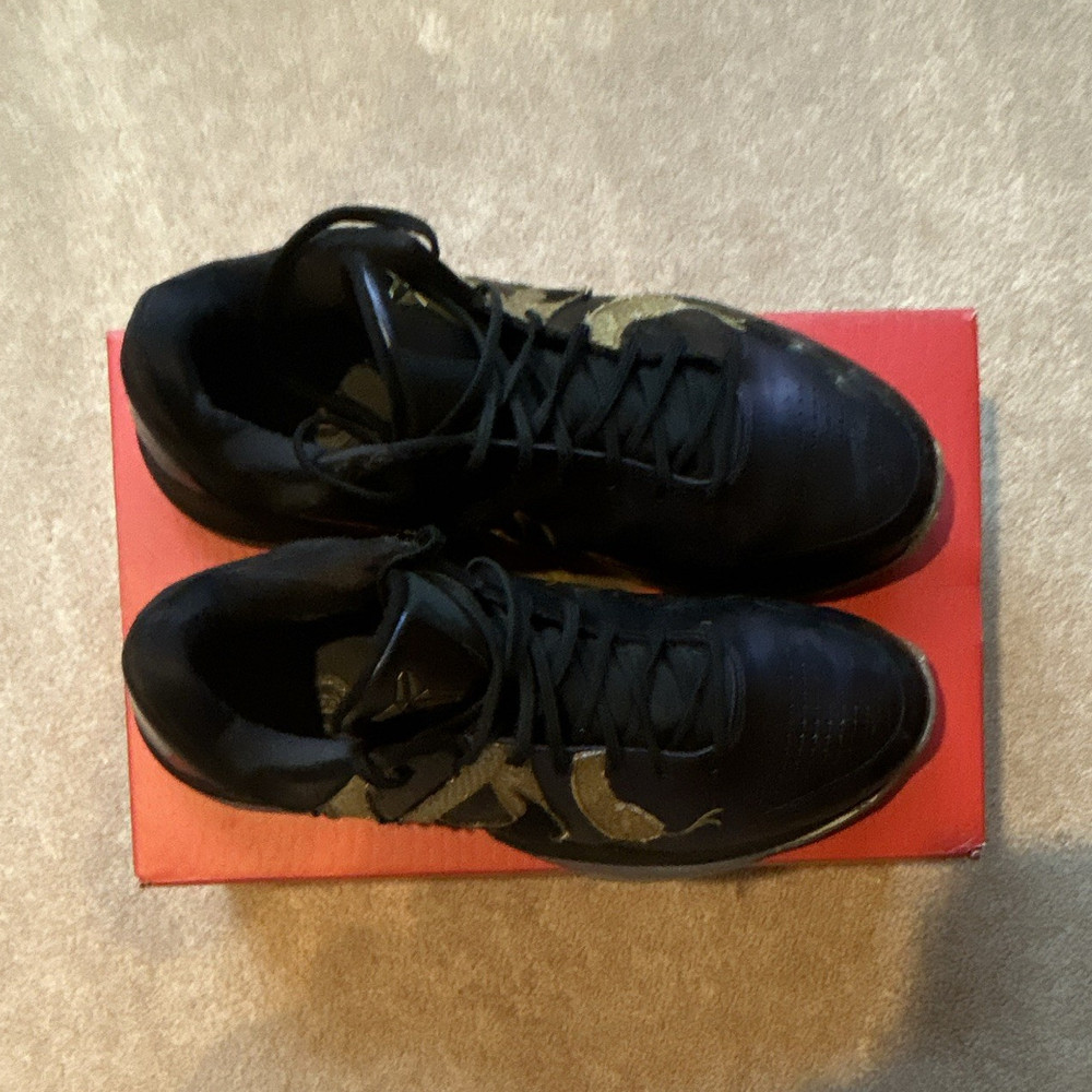 Nike Zoom Kobe 5 Protro Year of the Mamba Eggplant/Black/Gold IB4481-500