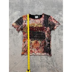 Reclaimed Vintage Mesh Baby Tee Graphic Y2K Indie Downtown Girl Soft Grunge 4