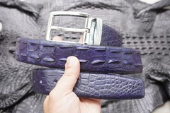 W 1.5 inch – Blue Genuine CROCODILE Hornback LEATHER Skin Men’s Belt #D34