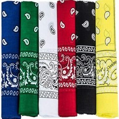 Pack of 6 X-Large Paisley Cotton Printed Bandana – 27 x 27 inches