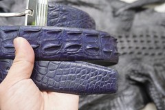 W 1.5 inch – Blue Genuine CROCODILE Hornback LEATHER Skin Men’s Belt #D34