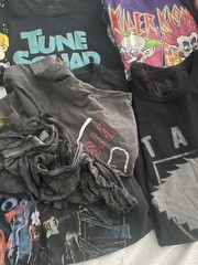 Random Lot of Graphic T Shirts 40+ Mixed All Sizes Pre-Owned , Aaliyah ,etc.